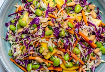 crunchy asian salad (no protein)