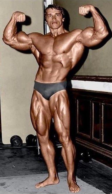 arnold physique and the mind-muscle connection 